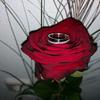 Sandra Plattner - @sandra.plattner - TikTok