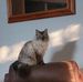 Sandra Plowman - Facebook