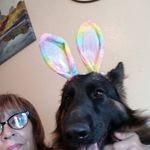 Marin Jamison - @sandra.pointer.545 - Instagram