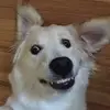 sandrapolistena67 - @sandrapolistena67 - TikTok