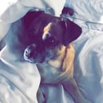 Sandra Poll - @sandrap75776 - Instagram