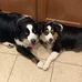 Sandra Polley - Facebook