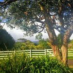 Sajopo - @polsonsandra - Instagram