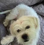 Sandra Polzin - Facebook