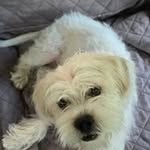 Sandra Polzin - @polzin7570 - Instagram