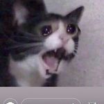 Jake - @sandraniseponder42 - Instagram