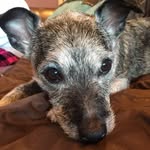 Sandy Ponder-Chalker - @ponderchalker - Instagram