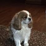 Sandra Porteous - Facebook
