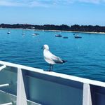 Sandra Portlock - @merriport - Instagram