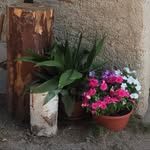 Sandra Floriani - @sandra.postel - Instagram