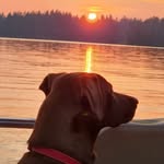 Sandra Lee Postel - @spostel22 - Instagram