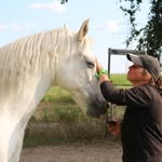 Sandra Postels - @postelssandra - Instagram