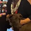 sandraleepostel - @sandraleepostel - TikTok
