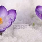 Sandra Postma - Facebook