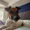 sandrapostons - @sandrapostons - TikTok