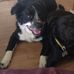 Sandra Poteet - Facebook