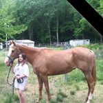 Sandy Poteet Smith - @sandypoteetsmith - Instagram