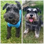 Sandra Pound - @scallywags0 - Instagram