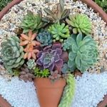 sandra Prange - @sandra.prange - Instagram