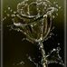 Sandra Prejean - Facebook