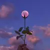 sandraprincipegme - @sandraprincipegme - TikTok