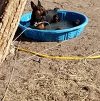 Sandra Proffitt - Facebook