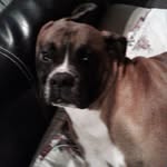 Sandy Proffitt - @sandy.proffitt.923 - Instagram