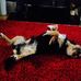 Sandra Prosser - Facebook