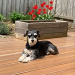 Sandra Proud - @proud.sandra - Instagram