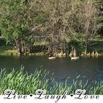 Sandra Prue - @livingmylifeunlimited - Instagram