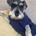 Sandra Pusey - Facebook
