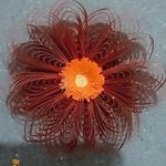 Perfeição_emquilling - @quillingdasandra - Instagram