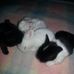 Sandra Quist - Facebook