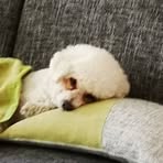 Sandra Räder - Facebook