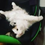 Sandra Rader - @sandra.rader.566 - Instagram