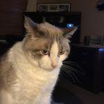 Sandra Radford Steen - @sandrasteen20 - Instagram