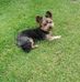 Sandra Raes - Facebook