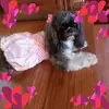 sandragragan - @sandragragan - TikTok