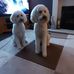 Sandra Raine - Facebook