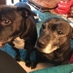 Sandra Ralston - @sandra.ralston.338 - Instagram