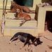 Sandra Rao - Facebook