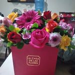 Sandra Rascón Satow - @sandra_rascon1 - Instagram