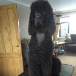 Sandra Rawlinson - @sandra_rawlinson - Instagram