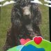 Sandra Rawlinson - Facebook