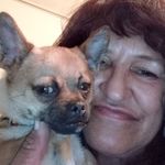 Sandra Rawls - @sandrata52 - Instagram