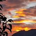 Sandra Reber - Facebook