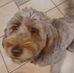 Sandra Rebman - Facebook