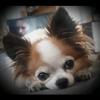 Sandra - @sandrarebmann1978_ - TikTok