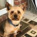 Sandra Redden - Facebook