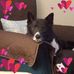 Sandra Redfield - Facebook